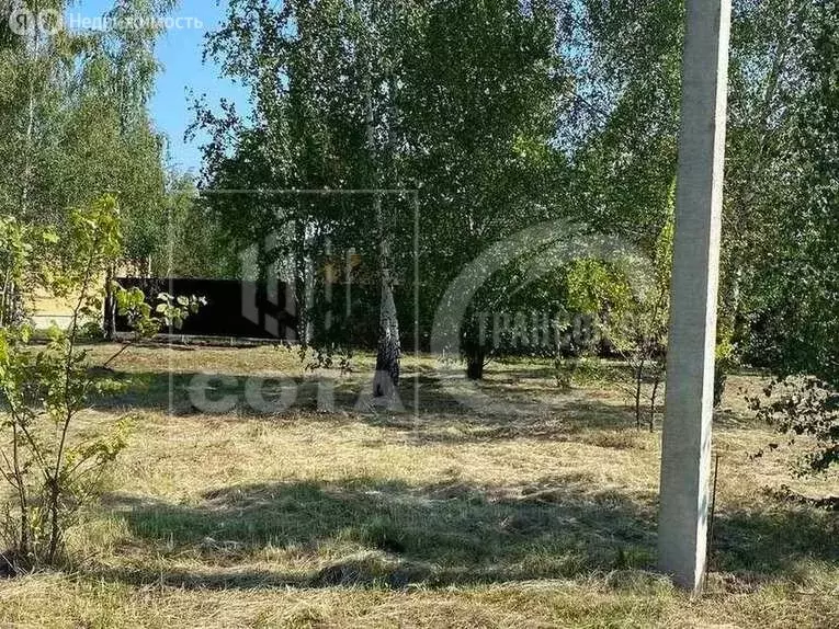 Участок в Новая Усмань, Белгородская улица, 35 (13.5 м) - Фото 2