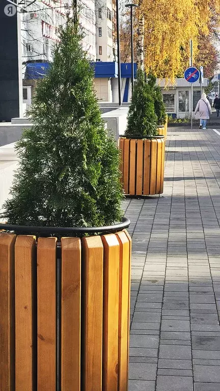 3-комнатная квартира: Йошкар-Ола, Красноармейская улица, 52 (99.91 м) - Фото 2