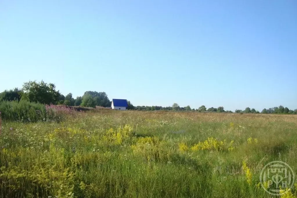 Участок в Ленинградская область, Выборгский район, Красносельское ... - Фото 0