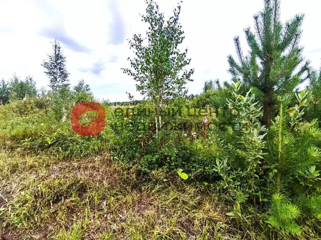 Участок в Тюменская область, Тюменский район, с. Кулига, Кулига-2 мкр  ... - Фото 0