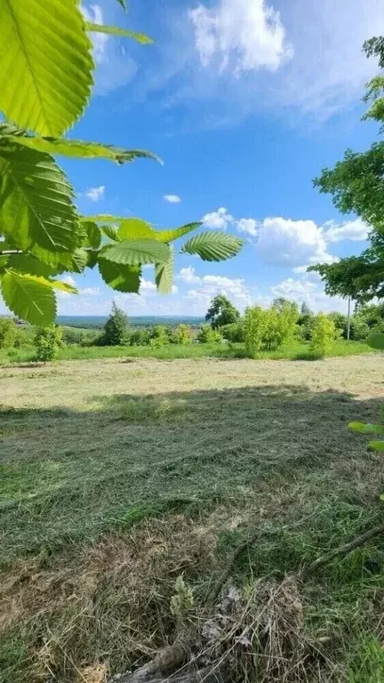Участок в Нижегородская область, Нижний Новгород д. Ветчак, ул. ... - Фото 2