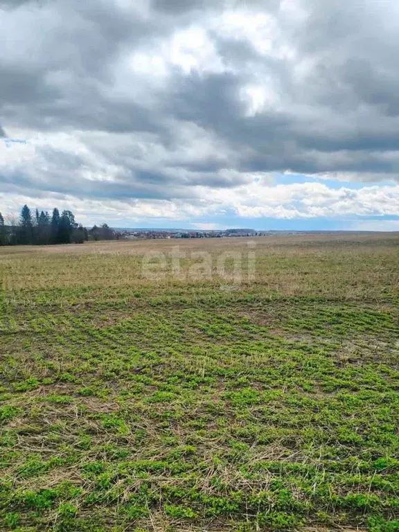 Участок в Свердловская область, Нижнесергинский район, Дружининское ... - Фото 1