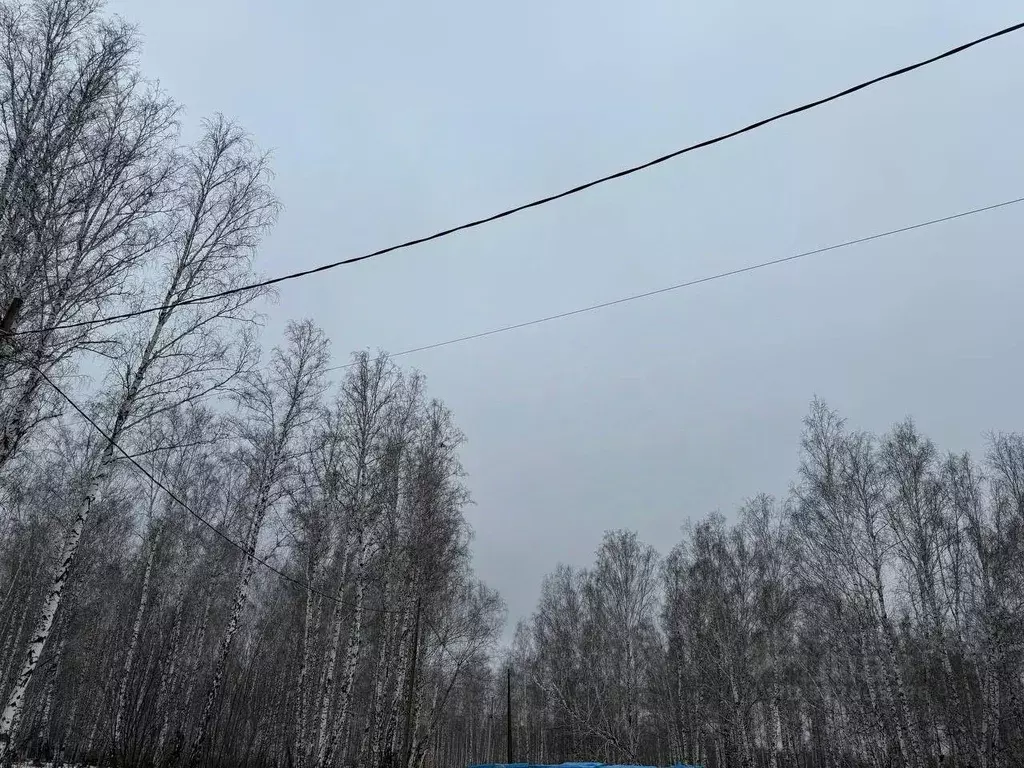 Участок в Челябинская область, Сосновский район, с. Долгодеревенское  ... - Фото 1