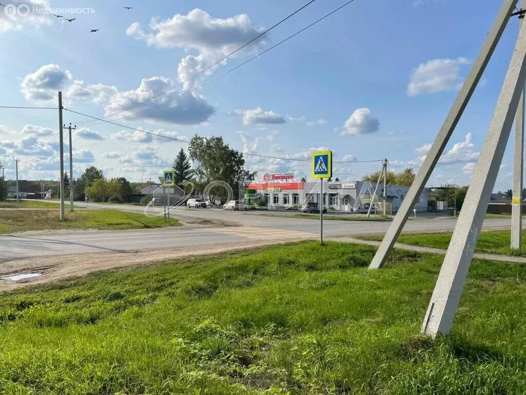 Участок в Тюменский муниципальный округ, село Каменка (614 м) - Фото 1