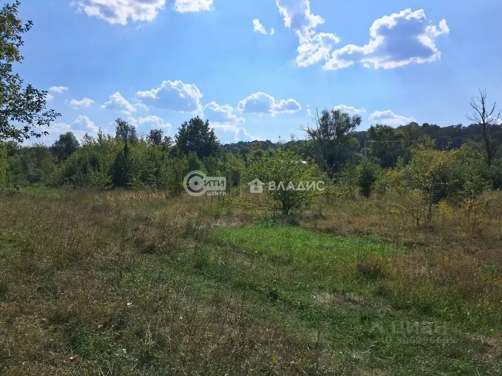 Участок в Воронежская область, Рамонь рп ул. Победы, 17Ж (8.0 сот.) - Фото 0