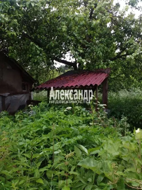 Участок в Ленинградская область, Лужский район, Ретюнское с/пос, д. ... - Фото 2