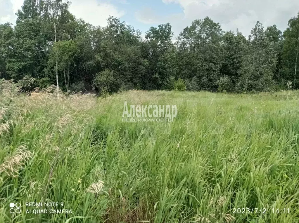 Участок 12 сот. (ИЖС) - Фото 0
