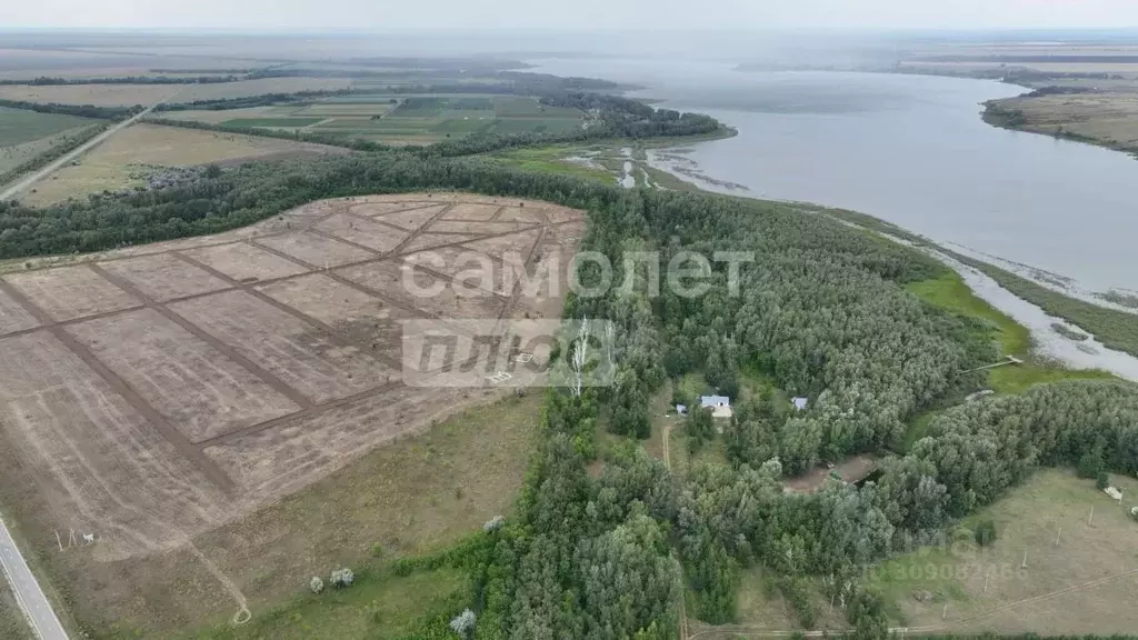 Участок в Оренбургская область, Илекский район, пос. Димитровский  ... - Фото 2