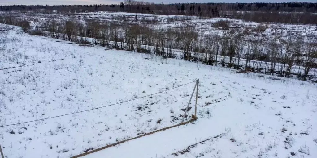 Участок в Ленинградская область, Гатчинский район, д. Бор  (10.0 сот.) - Фото 1