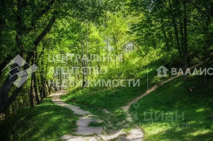 Участок в Рязанская область, Рыбновский район, Баграмовское с/пос, д. ... - Фото 1