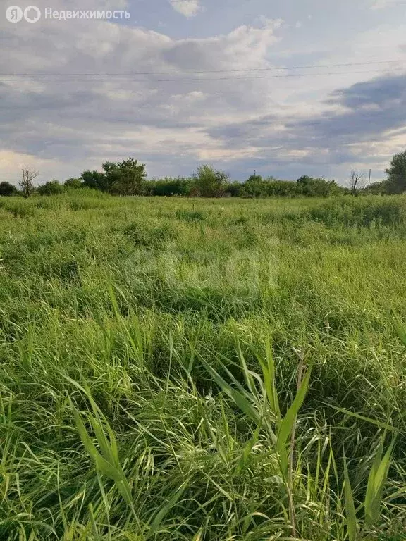 Участок в Прохладненский район, сельское поселение Учебное, СТ Победа ... - Фото 1
