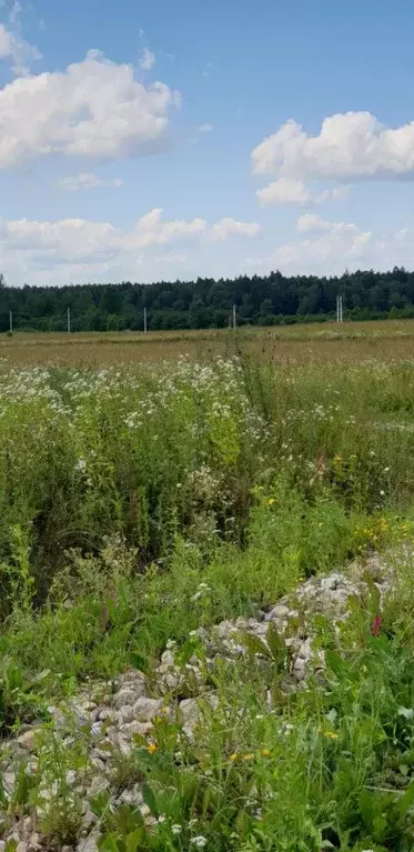 Участок в Московская область, Егорьевск муниципальный округ, д. ... - Фото 1