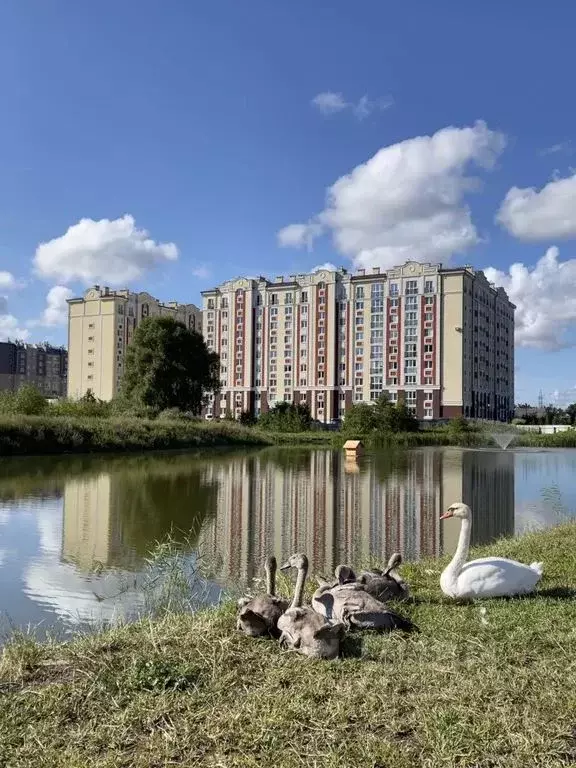 1-к кв. Калининградская область, Зеленоградск ул. Тургенева, 12А (43.0 ... - Фото 0