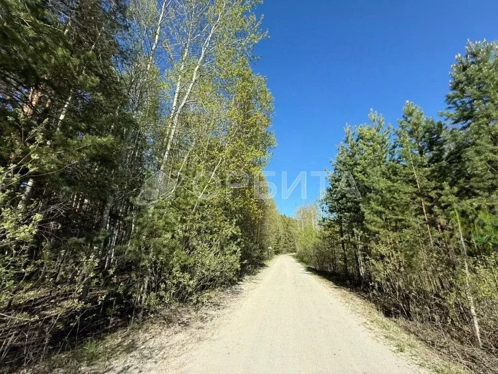 Участок в Тюменская область, Нижнетавдинский район, Березка СНТ  (6.0 ... - Фото 1