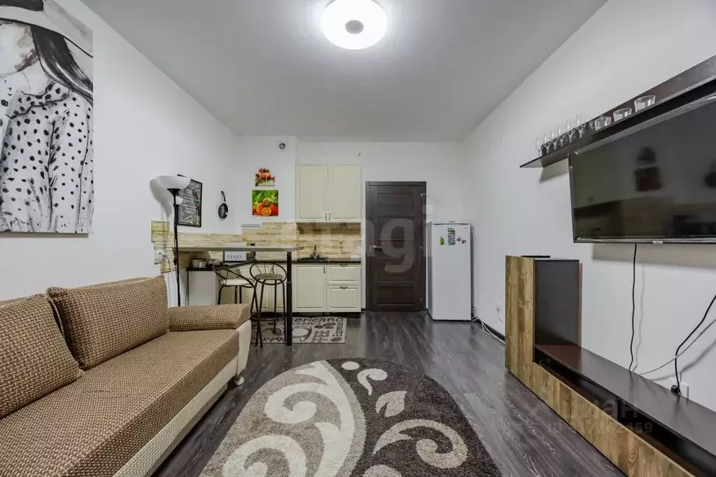 Студия Санкт-Петербург просп. Ветеранов, 194 (24.5 м) - Фото 1
