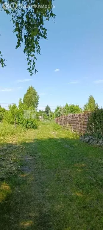Участок в село Санниково, СНТ Овощевод, Ягодная улица, 2 (5.56 м) - Фото 1
