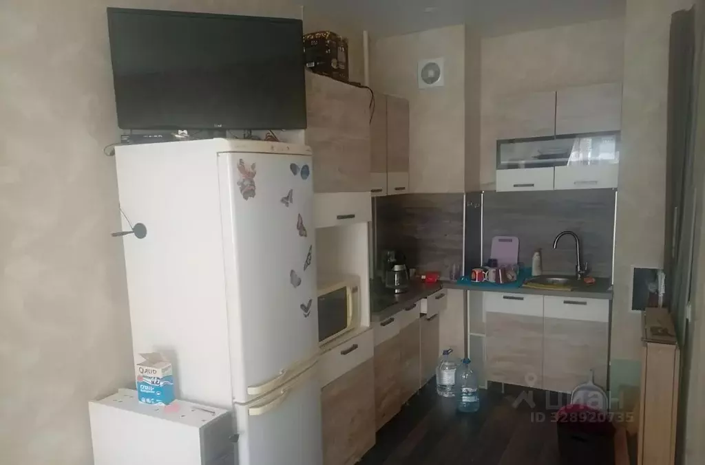 1-к кв. Псковская область, Псковский район, Завеличенская волость, д. ... - Фото 2