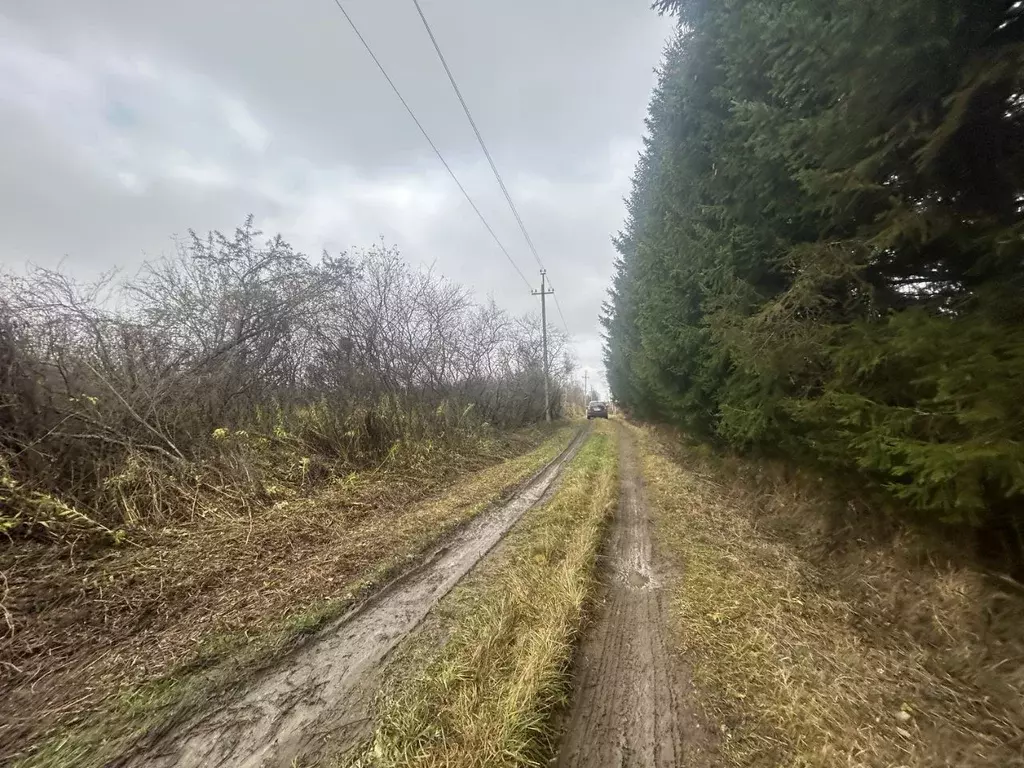 Участок в Владимирская область, Александровский муниципальный округ, ... - Фото 1