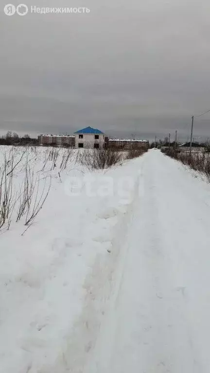 Участок в Ярославский муниципальный округ, деревня Бекренево ... - Фото 1