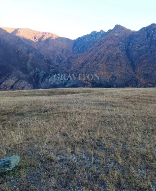 Участок в Онгудайский район, село Инегень (2 м) - Фото 1
