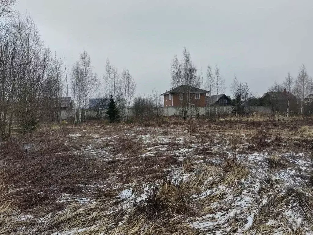 Участок в Московская область, Чехов муниципальный округ, с. Молоди ул. ... - Фото 0