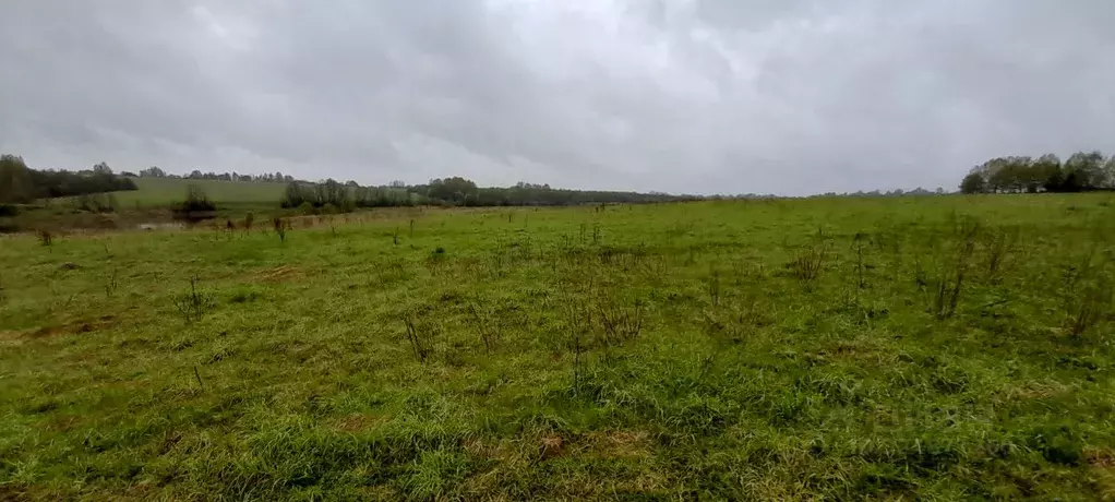 Участок в Ярославская область, Угличский муниципальный округ, д. ... - Фото 1