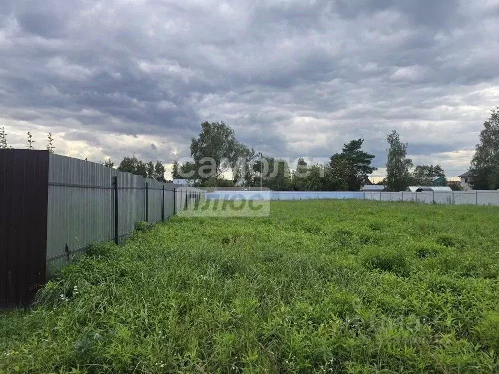 Участок в Московская область, Раменский муниципальный округ, Ясная ... - Фото 1