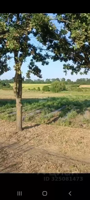 Участок в Краснодарский край, Армавир Песчаная ул., 12 (21.0 сот.) - Фото 2