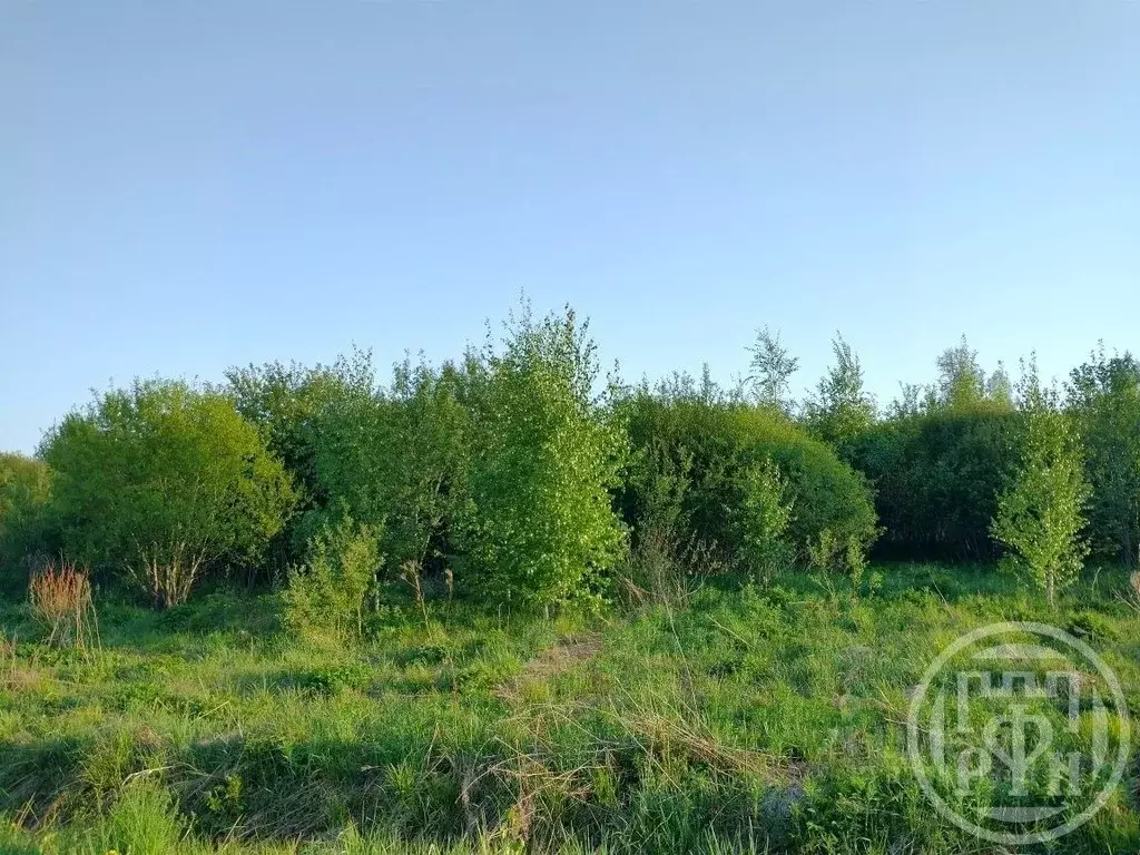 Участок в Ленинградская область, Выборгский район, Рощинское городское ... - Фото 1