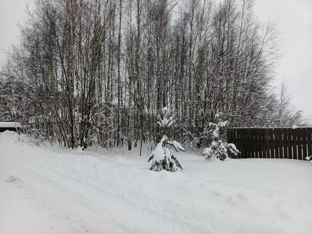 Участок в Нижегородская область, Богородск ул. Курыжова (12.0 сот.) - Фото 1