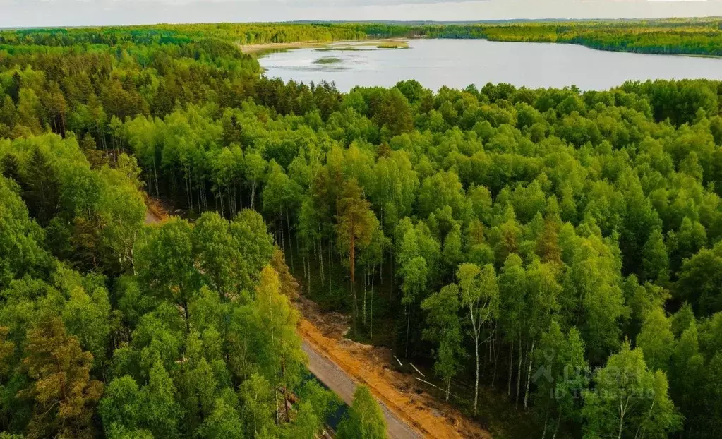 Участок в Ленинградская область, Всеволожский район, Токсовское ... - Фото 0