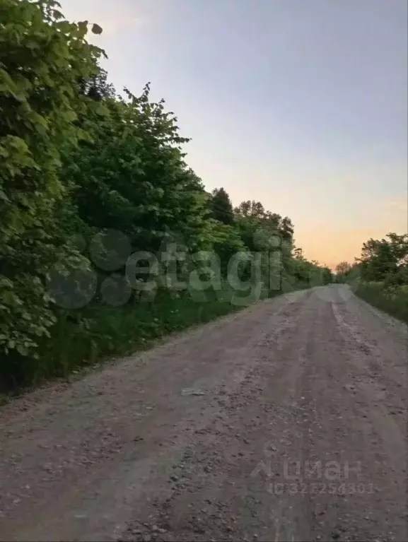 Участок в Башкортостан, Иглинский район, Чуваш-Кубовский сельсовет, ... - Фото 1