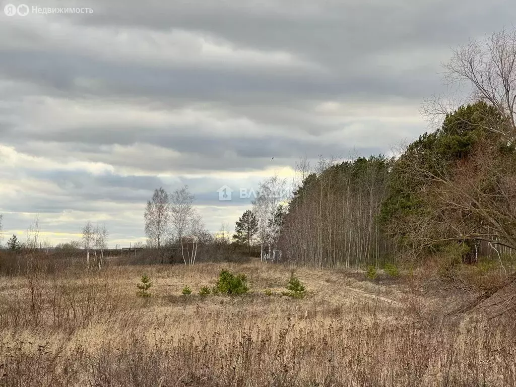 Участок в Московская область, городской округ Серпухов, СНТ Окские ... - Фото 0