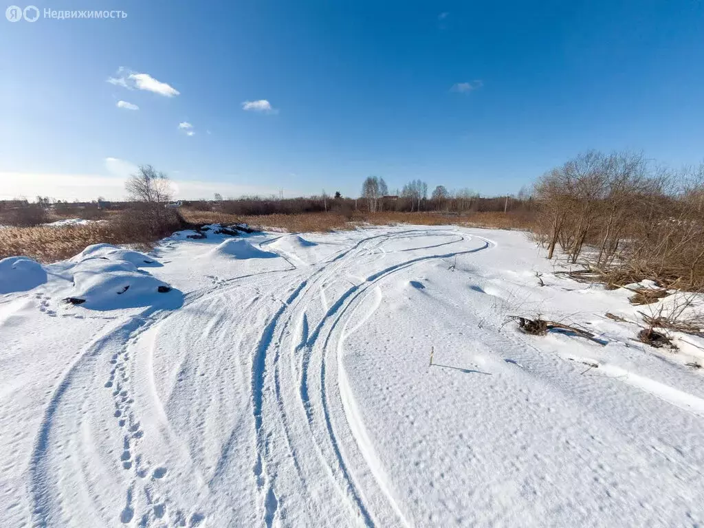 Участок в Тюмень, садовое товарищество Рябинка-2 (8.49 м) - Фото 0