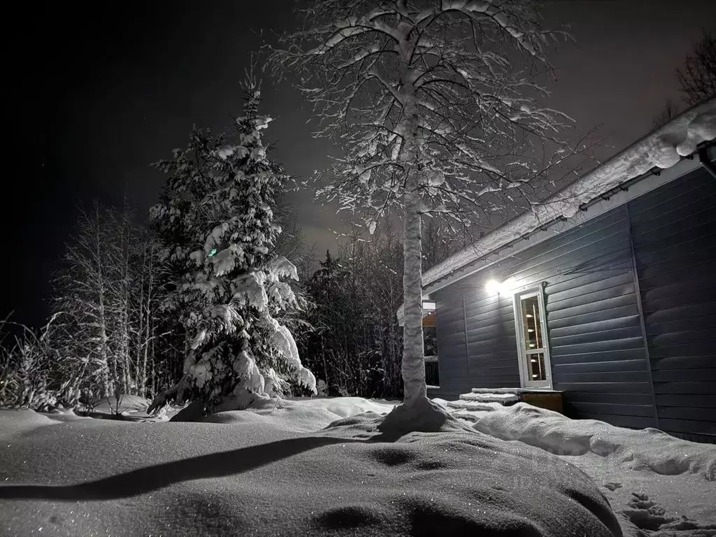 Дом в Коми, Сыктывдинский район, Выльгорт муниципальное образование, ... - Фото 1