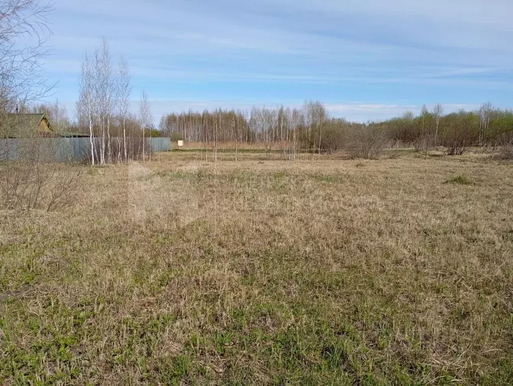 Участок в Тюменская область, Нижнетавдинский муниципальный округ, ... - Фото 1