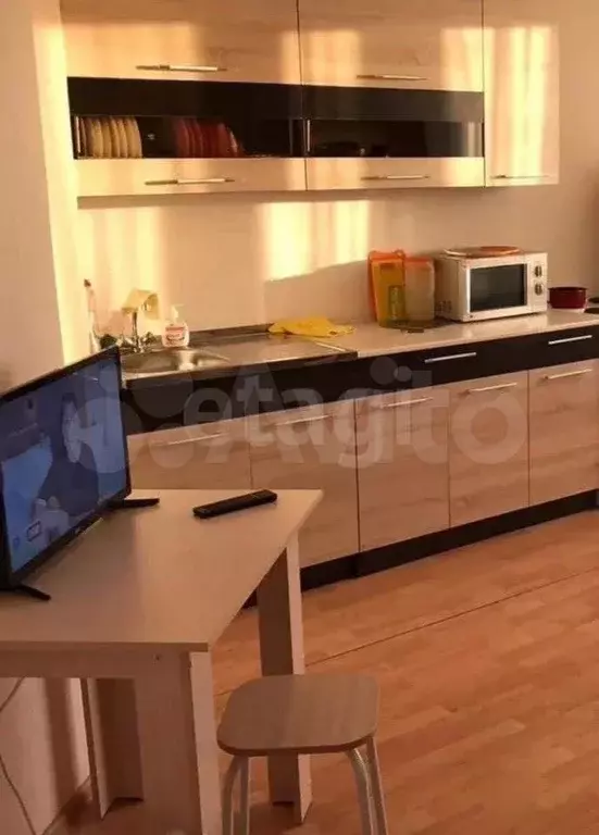 Квартира-студия, 24,7 м, 10/10 эт. - Фото 1