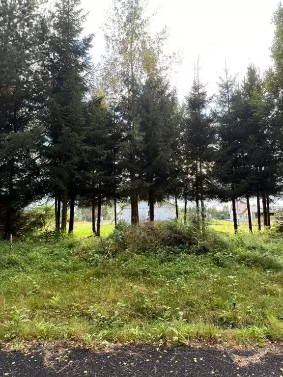 Участок в Московская область, Клин городской округ, Решетниково пгт, ... - Фото 2