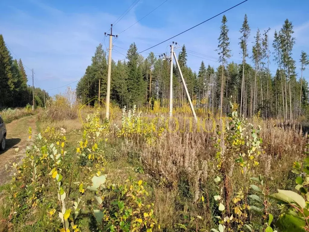 Участок в Свердловская область, Ревда ул. Тополиная (10.0 сот.) - Фото 2
