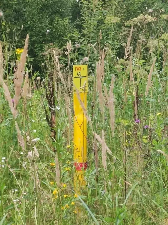 Участок в Калужская область, Калуга городской округ, д. Канищево ул. ... - Фото 2
