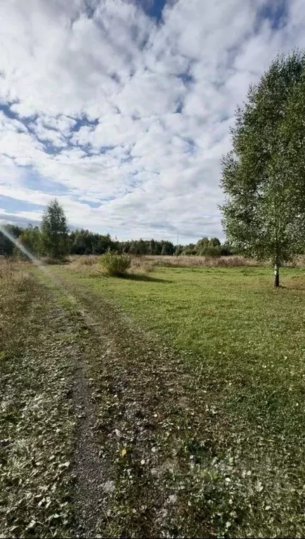 Участок в Пермский край, Краснокамский муниципальный округ, пос. ... - Фото 1