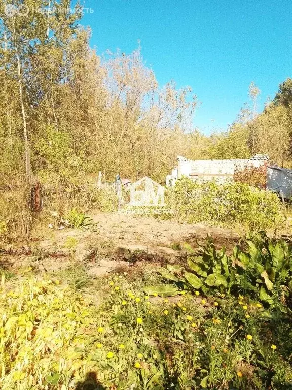 Участок в Брянск, садоводческое общество Десна-2 (4.5 м) - Фото 0