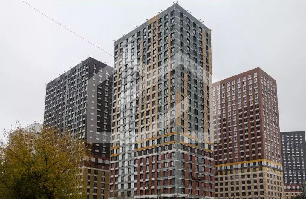 Помещение свободного назначения в Московская область, Котельники Белая ... - Фото 2