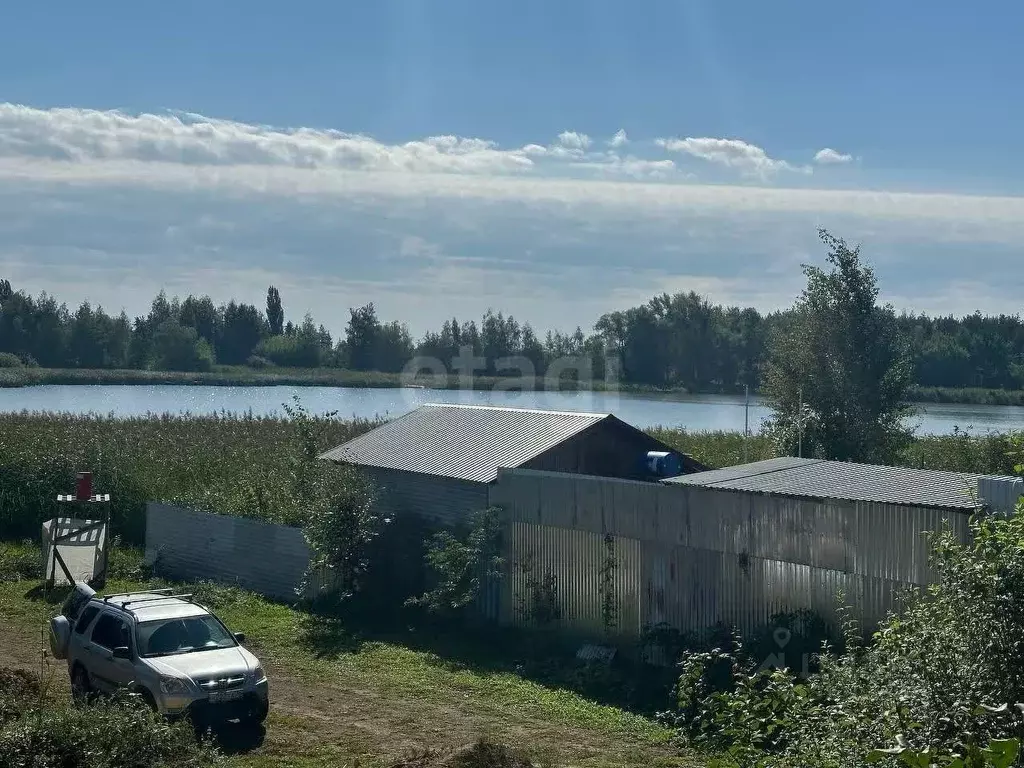 Участок в Воронежская область, Семилукский район, Стрелицкое городское ... - Фото 1