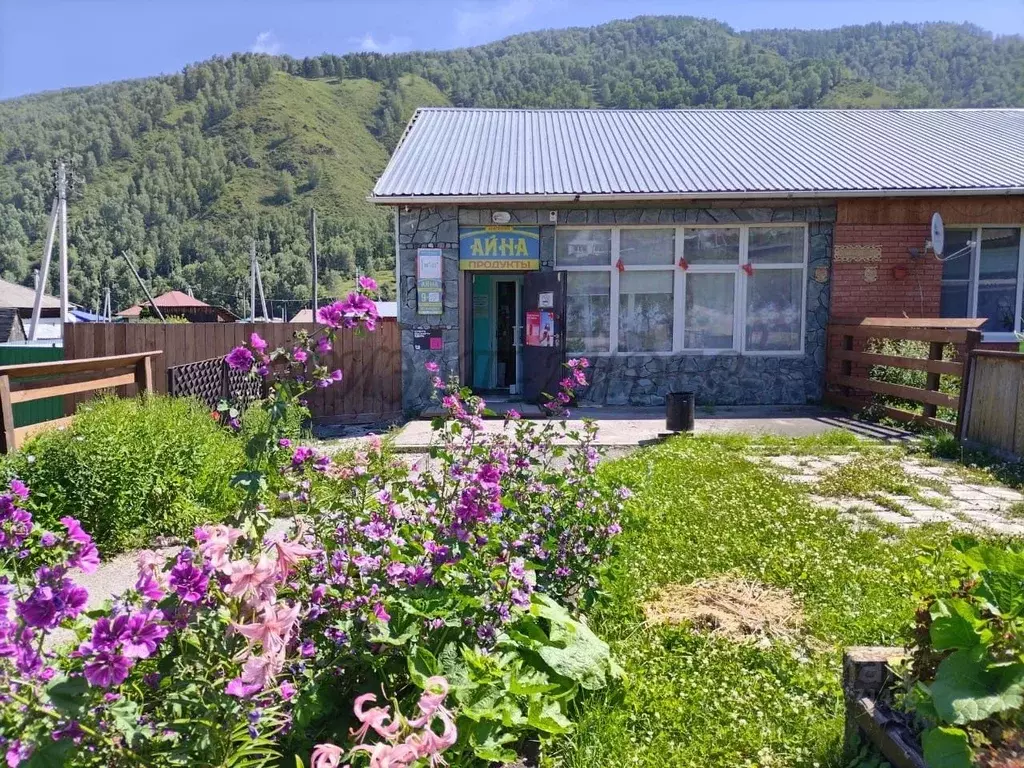 Помещение свободного назначения в Алтай, Шебалинский район, с. Черга ... - Фото 1