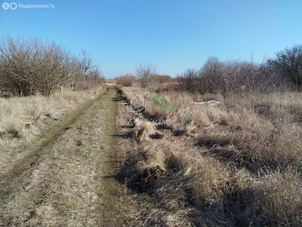 Участок в Краснодарский край, Ейск (6 м) - Фото 2