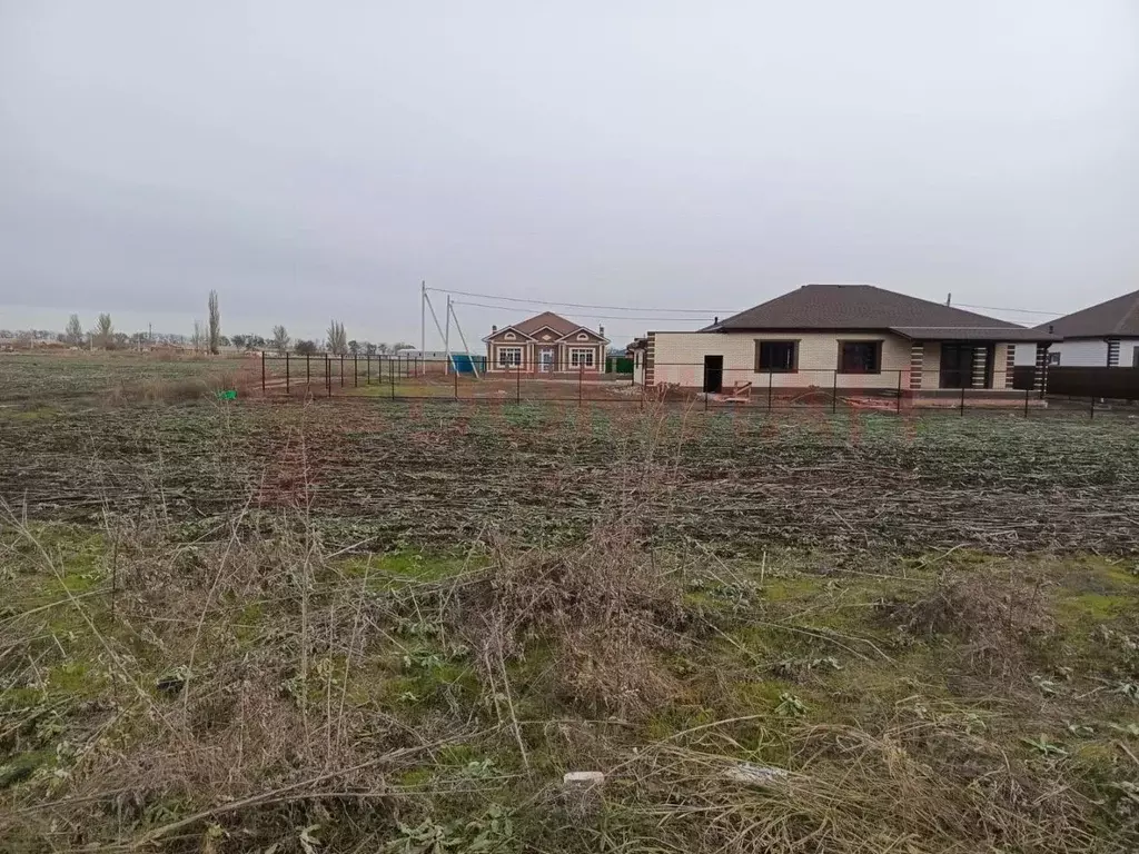 Участок в Ростовская область, Неклиновский район, с. Новобессергеневка ... - Фото 1