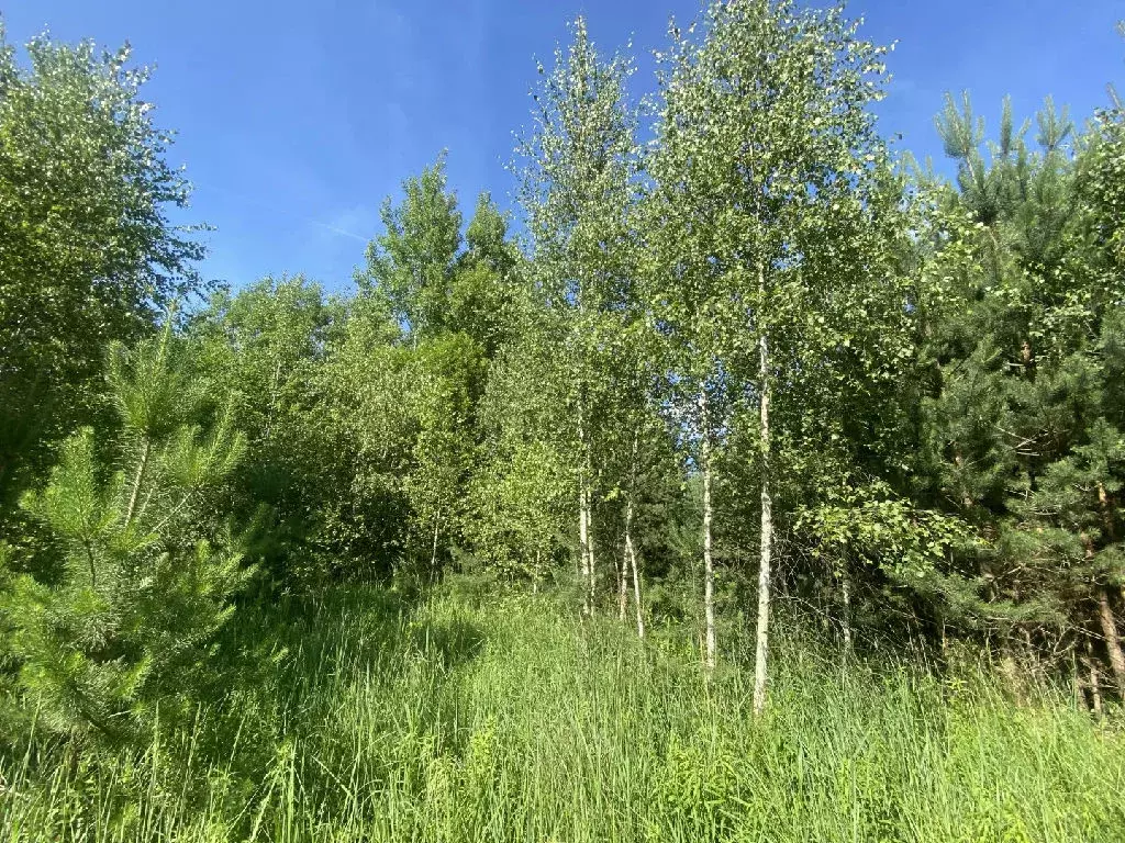 Продается участок в д. Старково - Фото 1