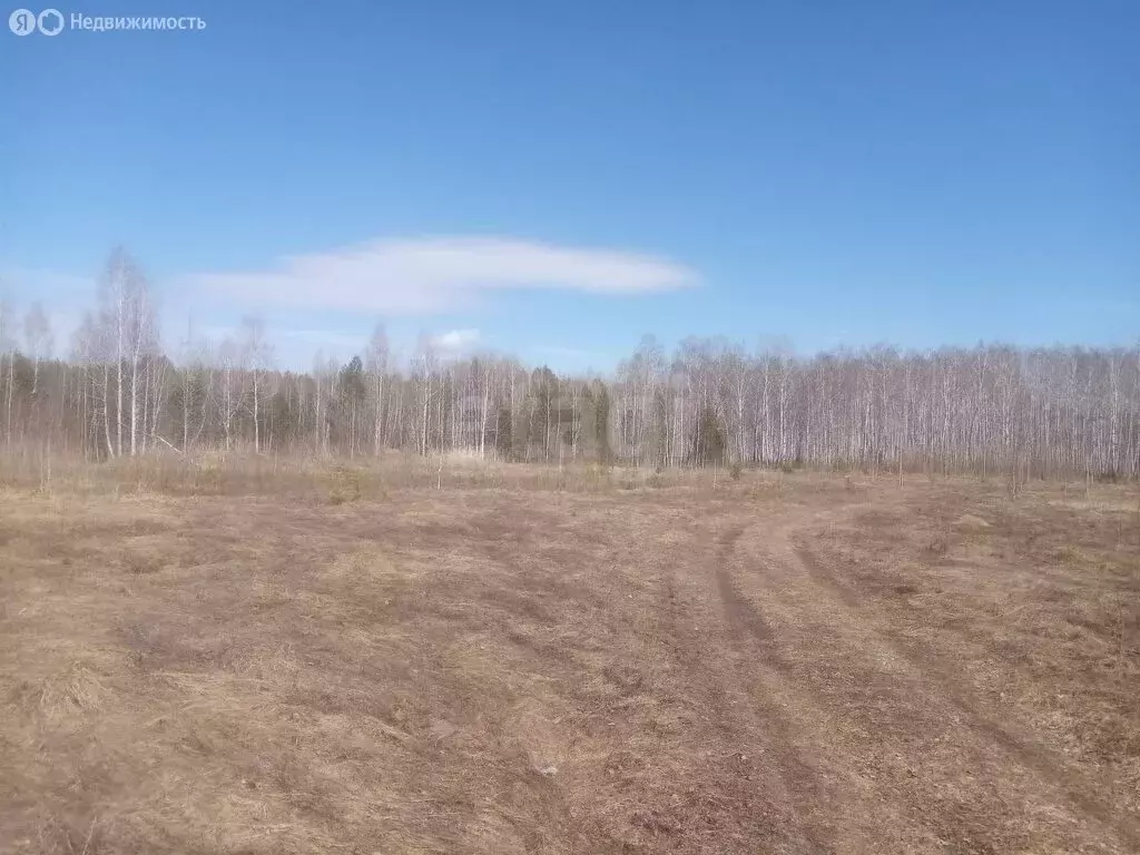 Участок в Тюменская область, Ярковский муниципальный округ, деревня ... - Фото 2