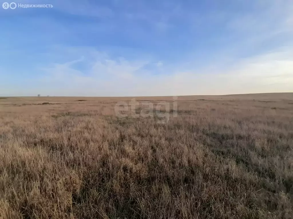 Участок в Сакский район, село Ивановка (8 м) - Фото 2